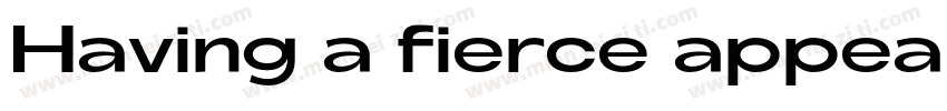 Having a fierce appearance字体转换